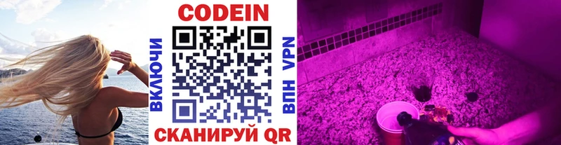Купить закладки  Заволжье  Кодеин Purple Drank 