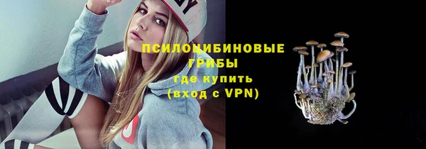 COCAINE Краснослободск